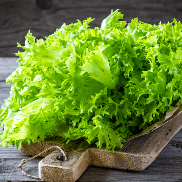 Bilo kuda, salata svuda