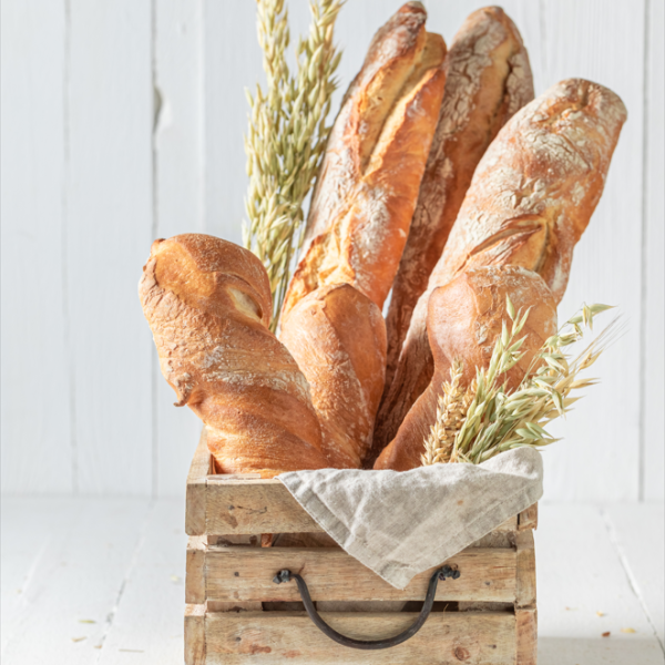 Devet života starog kruha